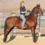 Futurity's Musical Ice