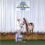 Special Clu/A Special Clu    AQHA/APHA