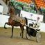 WHITEMUD FLITE OF FANCY