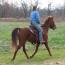 Summerfield Cadence