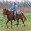 Summerfield Cadence