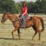 Sandy Dancer