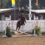 Goldhills Master Bronze