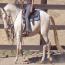 Regency Beholdapalehorse