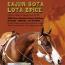 Cajun Gota Lota Spice