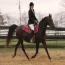 Phoenixmeadows Aphrodite