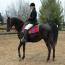 Phoenixmeadows Aphrodite