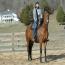 Nashboro Brianna Darling