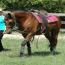 Nashboro Brianna Darling