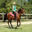 Nashboro Brianna Darling