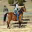 Nashboro Brianna Darling