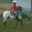 Klondike Cowboy