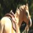 Blond Te Cowgirl