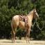 Blond Te Cowgirl