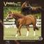 Vested Pine