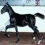 OWENS' CARBON COPY