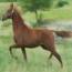 LOVING HEIR