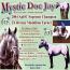 Mystic Doc Jay