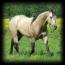 FOOTHILLS BEAU DUNIT