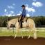 Ima Flashy Rodeo