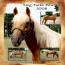 King Tucks Reward