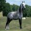 The Silver Bandit