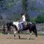 CJ Pawnee