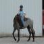 Mountaineer's Bleau Lady