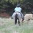 Mountaineer's Bleau Lady