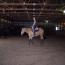 IMA Zipteaser