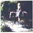 Aspenknoll Silouette