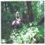 Aspenknoll Silouette