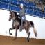 Crescendos Cadence