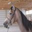 Crescendos Cadence